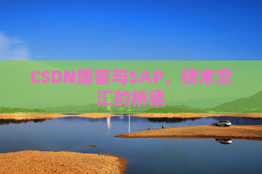 CSDN博客与SAP，技术交汇的桥梁